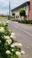 Logies De Vlaschaerd - Chambres d'hôtes Heule