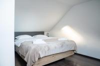 Cozy House Crivaia - B&B Văliug