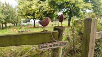 Tinnashrule Farm Family Stay Studio Ferns Co Wexford by SOS Stays - Ferienwohnung Enniscorthy