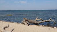 Ferienhaus am Greifswalder Bodden - B&B Loissin