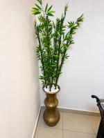 Fidelis Apartment - B&B Oduntia