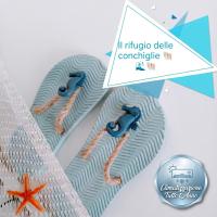 Il Rifugio delle Conchiglie - B&B Castellammare di Stabia