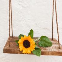 il Girasole - Casa vacanze nel Centro Storico di Putignano - Bed and Breakfast Putignano