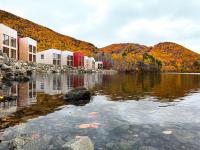 Cormorant Rock 3-Bedroom Oceanfront Chalet - Bed and Breakfast Ingonish Beach