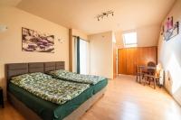 Pod Baranami - B&B Ujazd