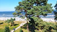 Villa Helene, Whg 12 - B&B Ostseebad Binz