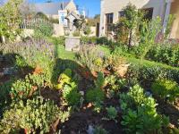 Ouwerf Guesthouse - B&B Uniondale