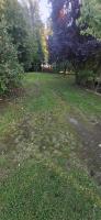 Gartenbungalow in der Natur - B&B Alt Krenzlin
