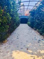Casa Atlas Confort - B&B Casablanca