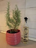 Sarajevo Cozy Attic and Backyard apartment - B&B Sarajevo
