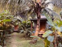 Casa Salvaje Vacation Rentals - Chambres d'hôtes Bocas del Toro