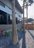Acqua Rooms & Living - B&B Chaweng