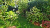 Haus im Garten in der Nähe von Köln-Messe - B&B Bergisch Gladbach