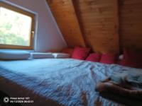 Zeleni vir - B&B Olovo