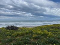 Karma Waters Beach House, 100m from beach - Bed and Breakfast Middleton