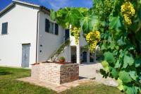 Netik Apartment Cortona - Tuscan Vineyard escape - Ferienwohnung Cortona