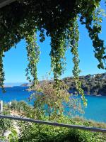 La bouganvillia à Érétrie, Ile d'Eubée, Grèce - B&B Eretria