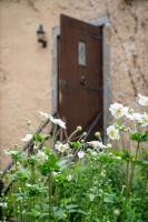 Historic 1600 Cottage with Hot Tub, Private Estate - B&B Stirling