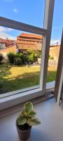 Appartamento con 1 Camera da Letto e Vista Giardino 