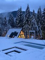Pine Hill 2 - B&B Poiana Mărului