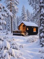 Arctic circle cabin 2 - Chambres d'hôtes Rovaniemi