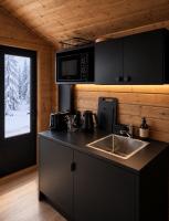 Arctic circle cabin 2 - Chambres d'hôtes Rovaniemi