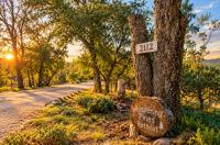 The Apothecary at Whispering Pines - Romantic Mountain Cabin in Julian - B&B Julian