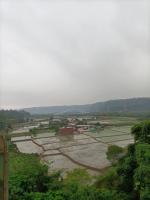 Senxiang Homestay - B&B Daxi