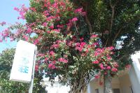 Minshuku Namisou - B&B Aramata