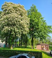 Loft and blue - B&B Sosnowiec
