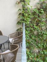 easy-flat Danhausergasse - Central Apartments near Metro - B&B Vienna