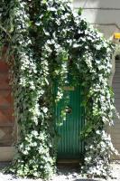 Roman Forum Suite - B&B Roma