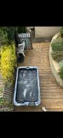 Driftwood - B&B Niton