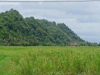 Homestay Tok Melah - B&B Kangar