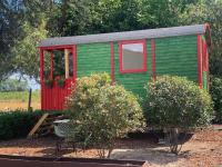 Alpaca Oro Vivo - B&B Zele