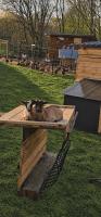 Farma pod Skalkou - Kontatkné zoo - Vírivka - Ski Telgart 15 min - Chambres d'hôtes Heľpa