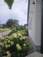 Azyl na Reset - Chambres d'hôtes Gołcza