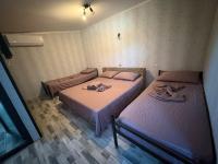 Militara house - Bed and Breakfast Constanța