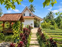 Pondok Is Oke Family Room - 2 Bedroom Ricefild view - Bed and Breakfast Banyuwangi