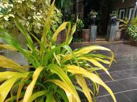 Serendib guest house - Chambres d'hôtes Negombo