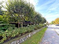 Ferienwohnung Sonnenseite - Ferienwohnung Westerland