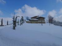 La Collina Zocca - B&B Zocca
