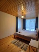 Little house Katia Mestia - B&B Mestia