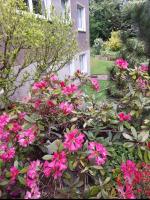 3-Zimmer-Apartment in ruhiger Lage mit Gartenblick - 20km von Düsseldorf - B&B Velbert