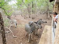 Tusker House Kruger - B&B Marloth Park