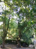 Double Room with Park View