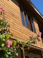 Teo Guesthouse in Mestia - B&B Mestia