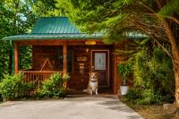 Smoky Mountain Cabin Hot Tub & Forest Views - B&B Sevierville