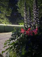 house milena - B&B K'obulet'i