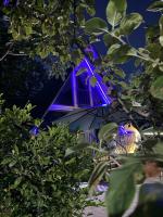 house milena - B&B K'obulet'i